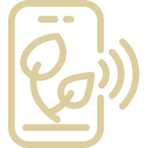 Multimedia Agri-advisory content